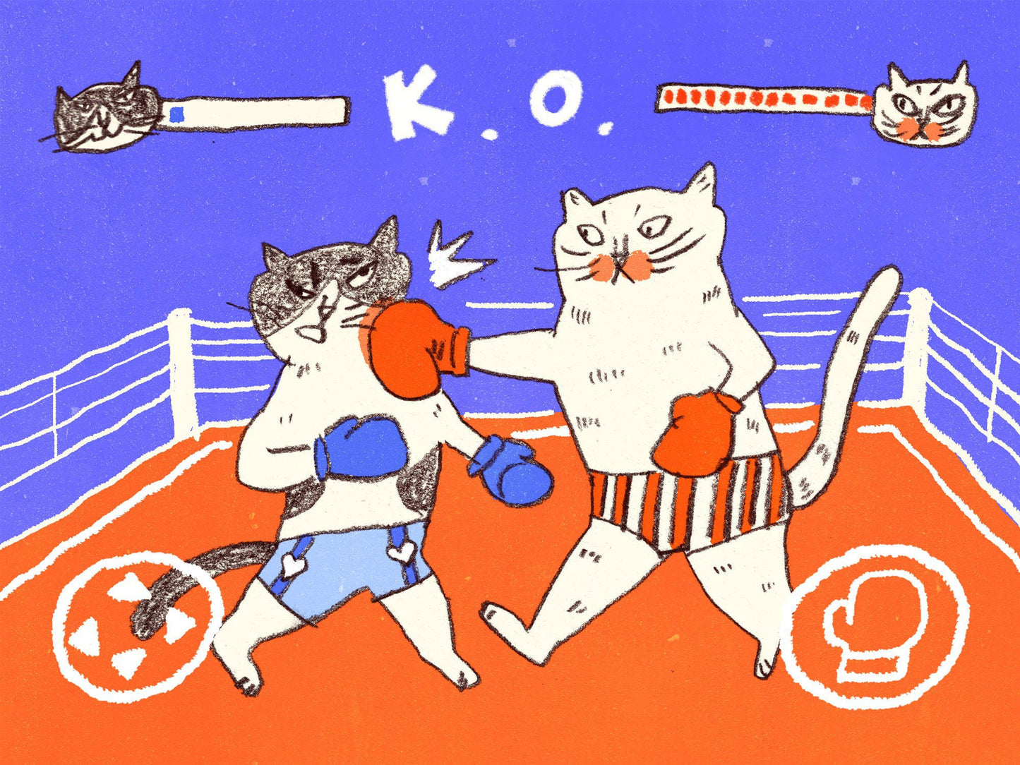 Cats' Knockout Boxing Match